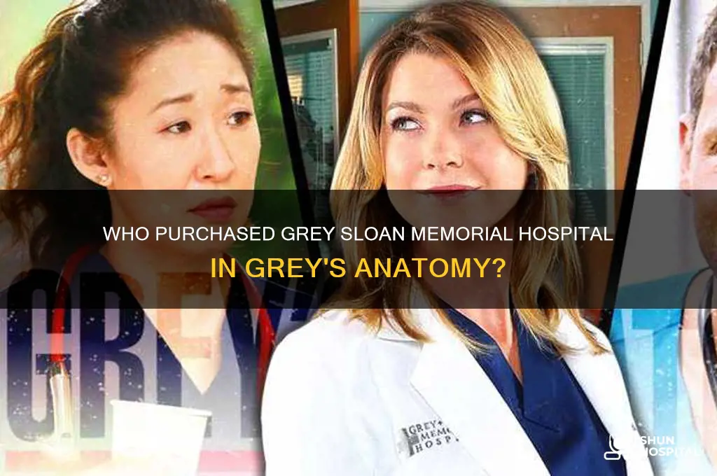 who buys the hospital grey