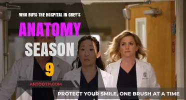 Grey's Anatomy Season 9: Unveiling the Hospital's New Owner