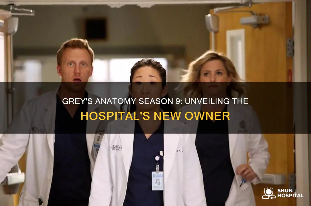 who buys the hospital in grey