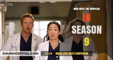 Grey's Anatomy Season 9: Unveiling the Hospital's New Owner