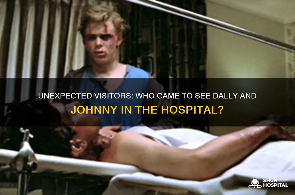 who came to visit dally and johnny in the hospital