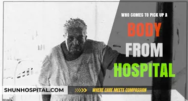 Who Collects Deceased Bodies from Hospitals? A Comprehensive Guide