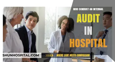 Who Conducts Internal Audits in Hospitals: Key Roles and Responsibilities