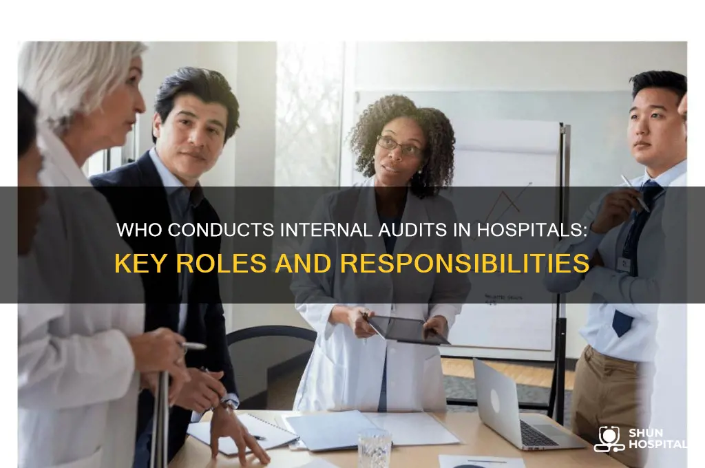 who conduct an internal audit in hospital