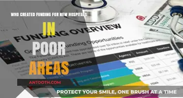 Philanthropists and Governments: Who Funds New Hospitals in Impoverished Regions?