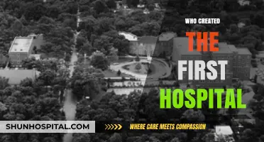 The Origins of Healthcare: Who Built the First Hospital?