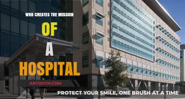 Who Shapes a Hospital's Mission: Key Players and Their Roles