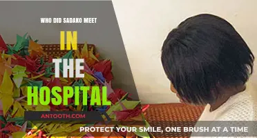 Sadako's Hospital Encounter: Unveiling the Mysterious Visitor's Identity