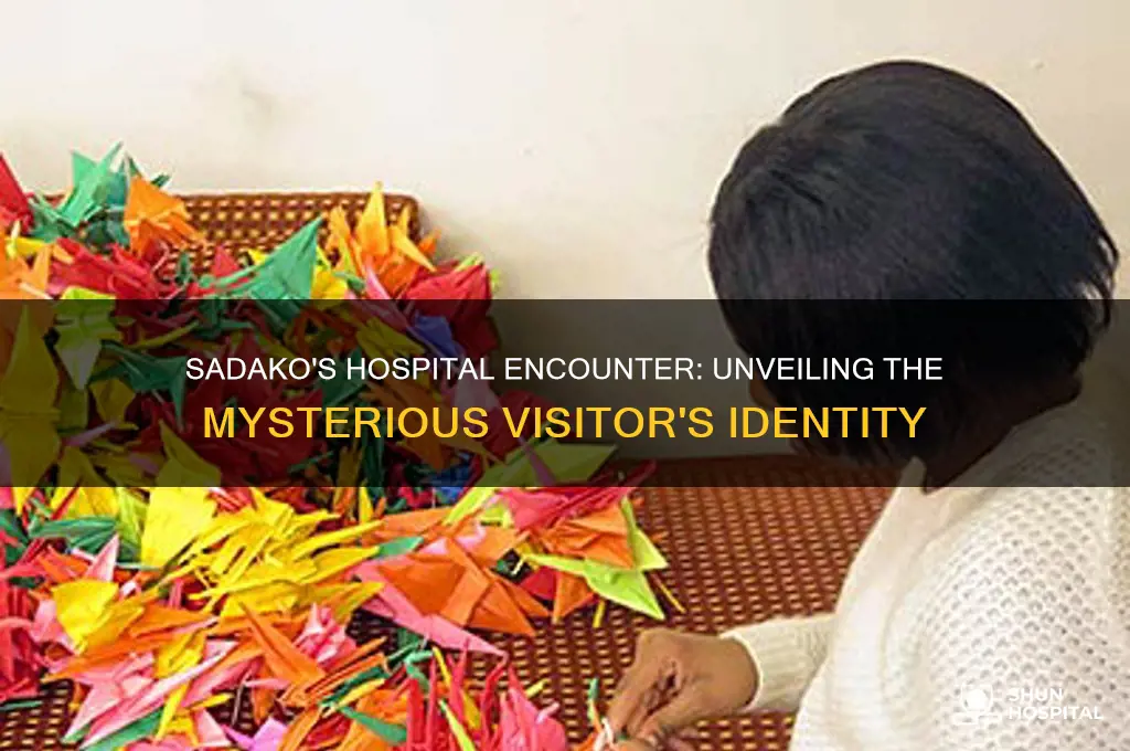 who did sadako meet in the hospital