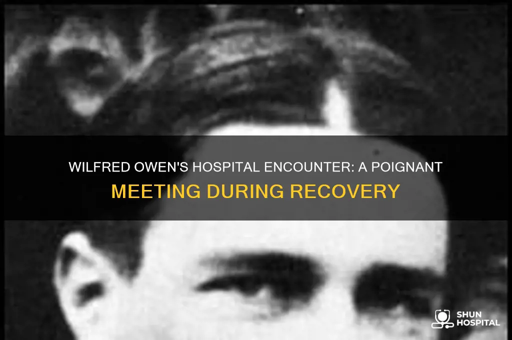who did wilfred owen meet in hospital