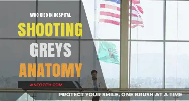 Grey's Anatomy Hospital Shooting Victims: Who Tragically Lost Their Lives?
