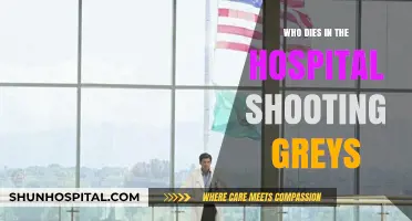 Grey's Anatomy Hospital Shooting Victims: Who Tragically Lost Their Lives?