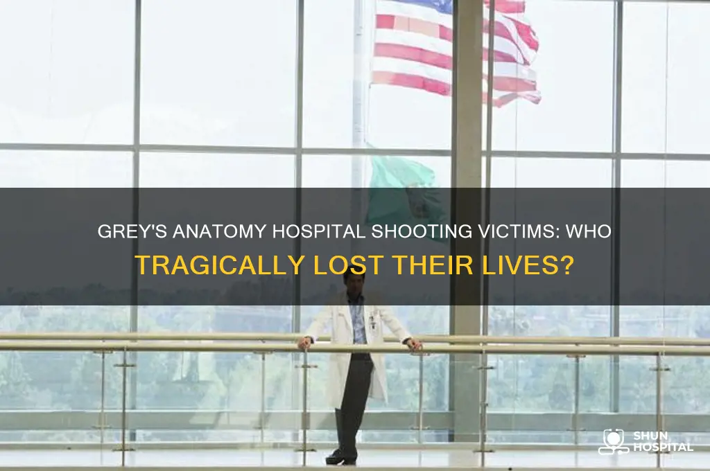 who dies in the hospital shooting greys