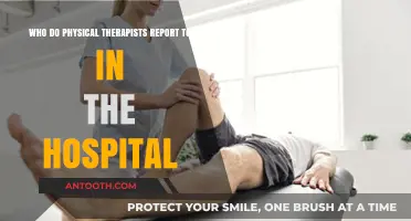 Understanding Physical Therapists' Reporting Hierarchy in Hospital Settings