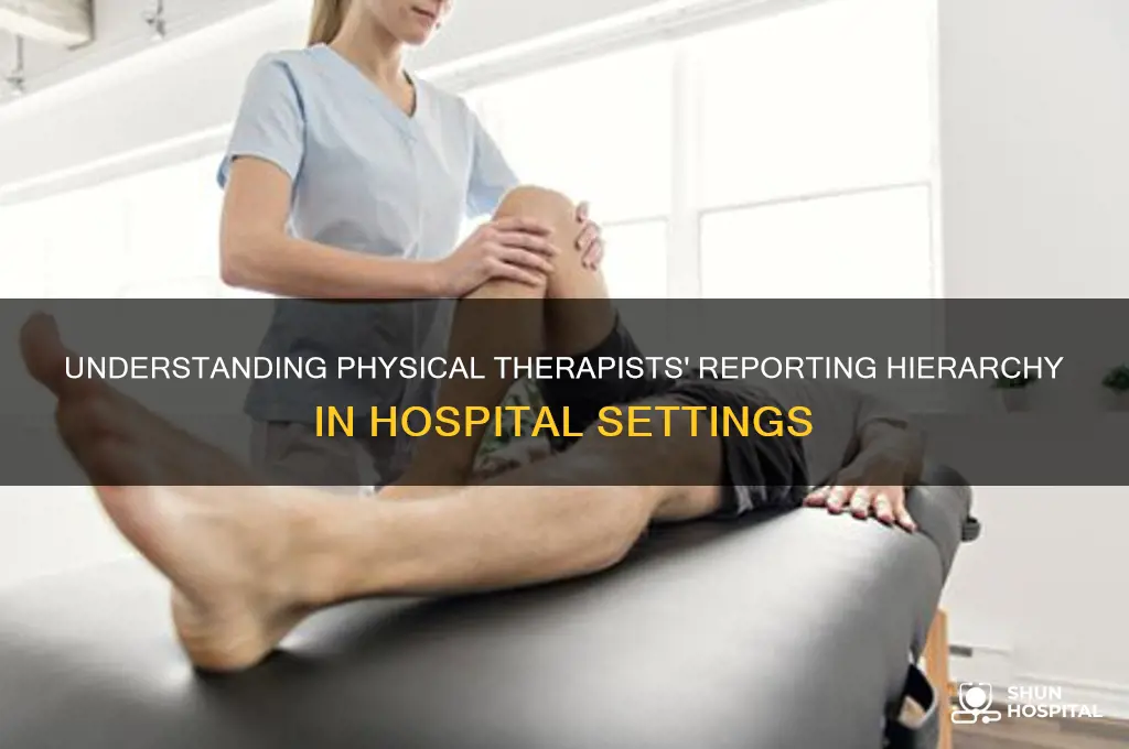 who do physical therapists report to in the hospital