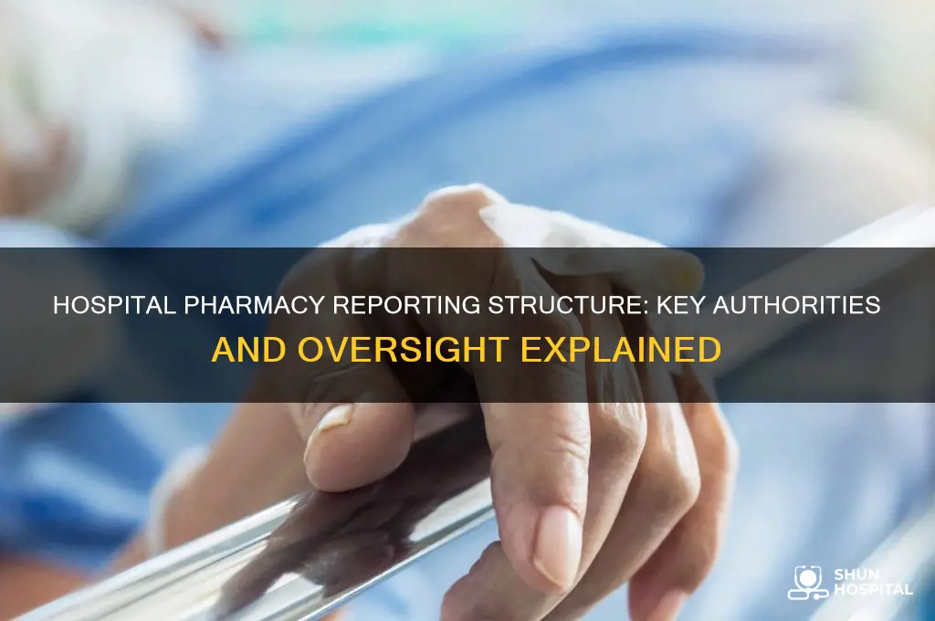 who does a hospital pharamacy report to