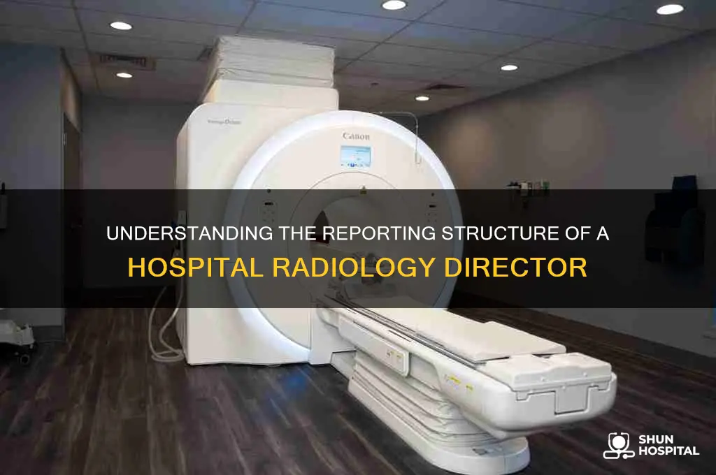who does hospital radiology director report to