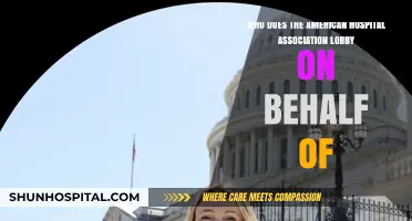 Who Does the American Hospital Association Lobby For?