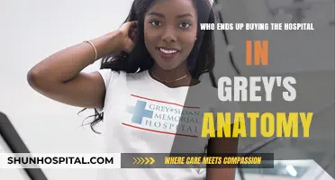 Grey's Anatomy Hospital Sale: Unveiling the New Owner's Identity