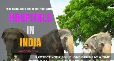 Pioneering Compassion: Who Established India's First Animal Hospital?