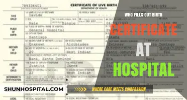Who Completes the Birth Certificate at the Hospital: A Guide
