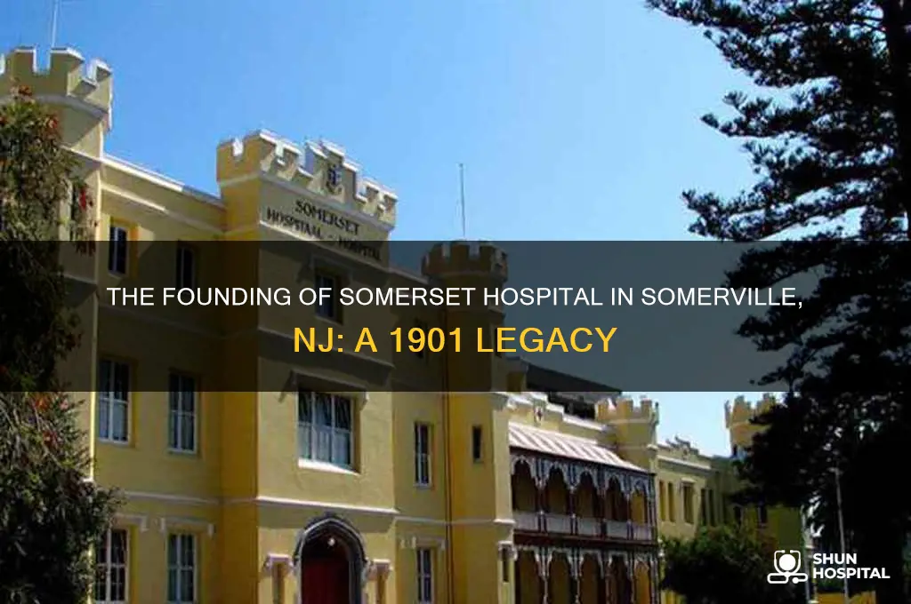 who founded somerset hospital 1901 somerville nj