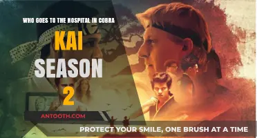 Cobra Kai Season 2 Hospital Scene: Who Gets Admitted?