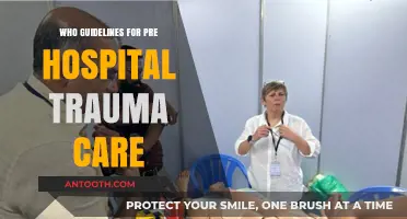 WHO Pre-Hospital Trauma Care Guidelines: Essential Practices for Emergency Response