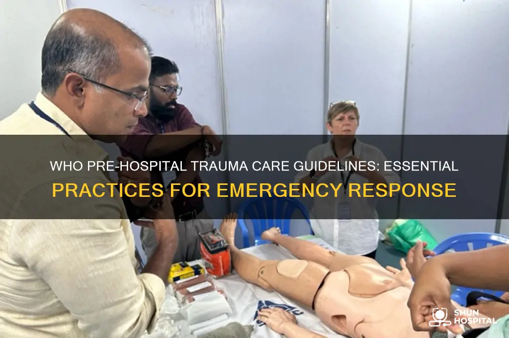 who guidelines for pre hospital trauma care
