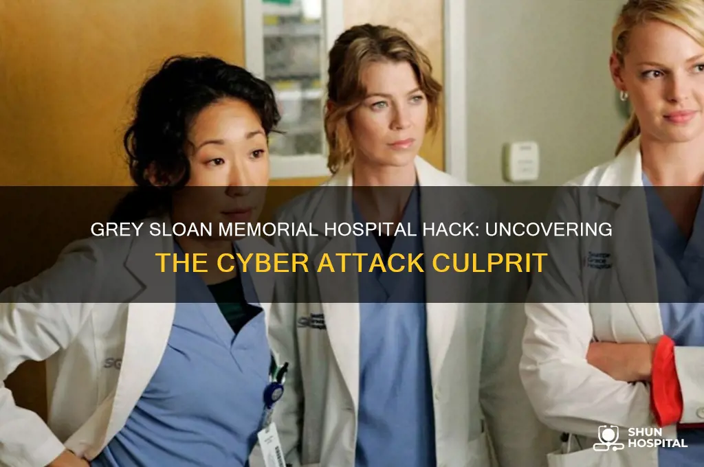 who hacked into grey sloan memorial hospital