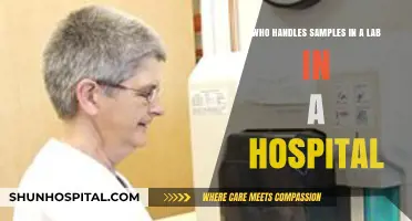 Hospital Lab Sample Handlers: Roles and Responsibilities Explained