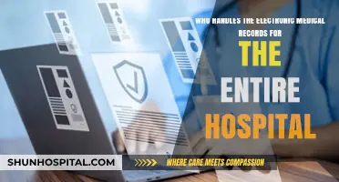 Who Manages Hospital-Wide Electronic Medical Records: Key Roles and Responsibilities