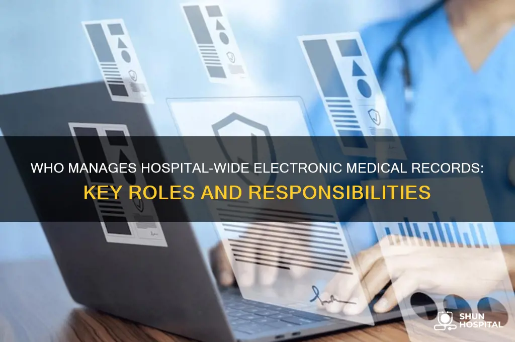 who handles the electronic medical records for the entire hospital