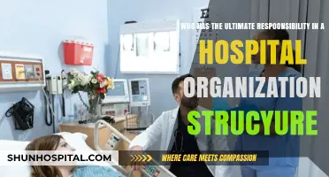 Hospital Leadership: Who Bears Ultimate Responsibility in Organizational Structure?