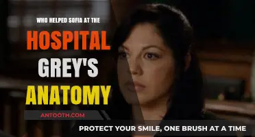Unveiling the Lifesaver: Who Helped Sofia at Grey Sloan Hospital?
