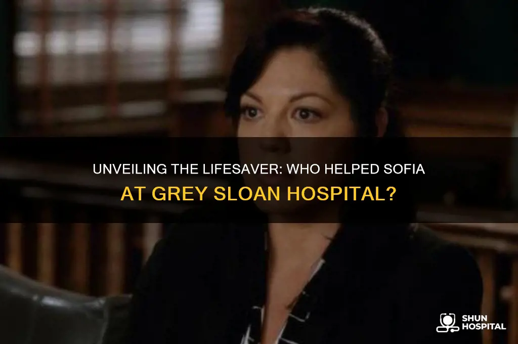 who helped sofia at the hospital grey