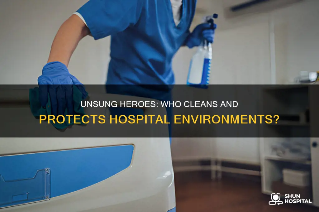 who helps in environmental cleaning at hospitals