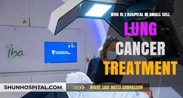 Top Hospital Leading Small Cell Lung Cancer Treatment Innovations