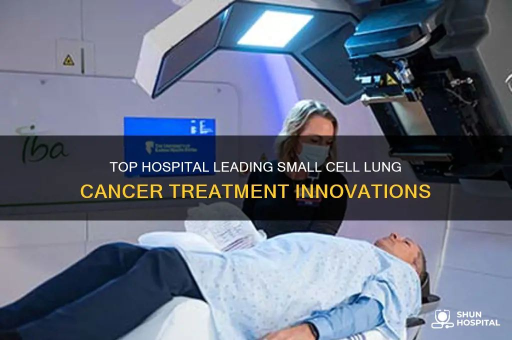 who is 1 hospital in small cell lung cancer treatment