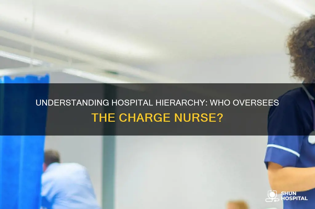 who is above the charge nurse in a hospital