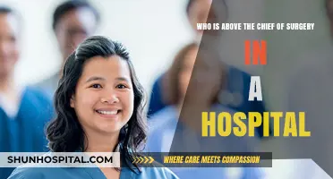 Understanding Hospital Hierarchy: Who Oversees the Chief of Surgery?