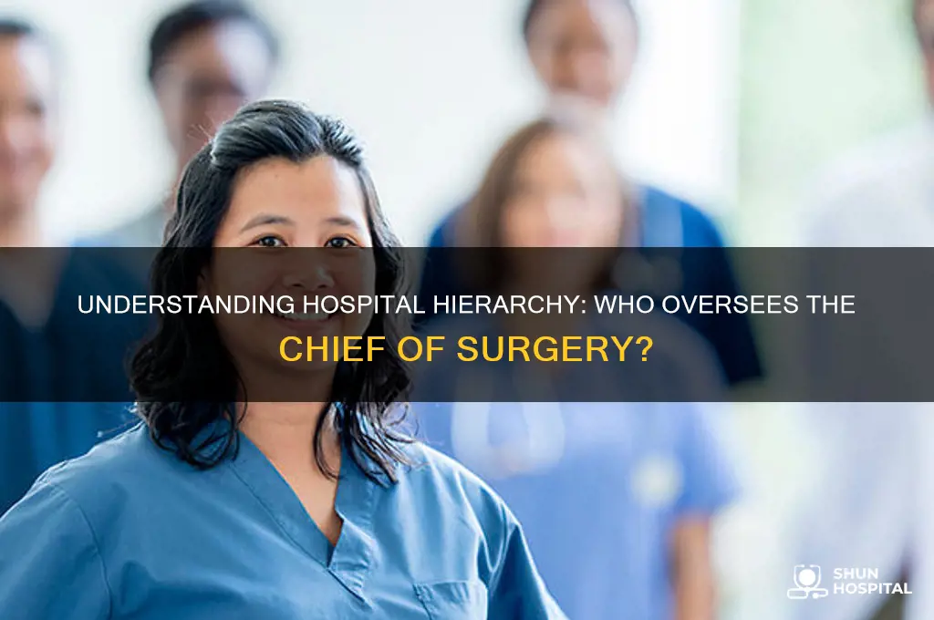 who is above the chief of surgery in a hospital