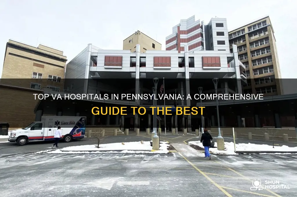 who is best va hospital in pa