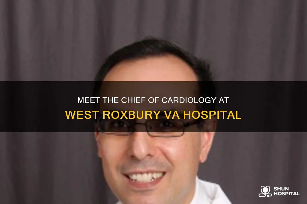who is chief of cardiology at west roxbury va hospital