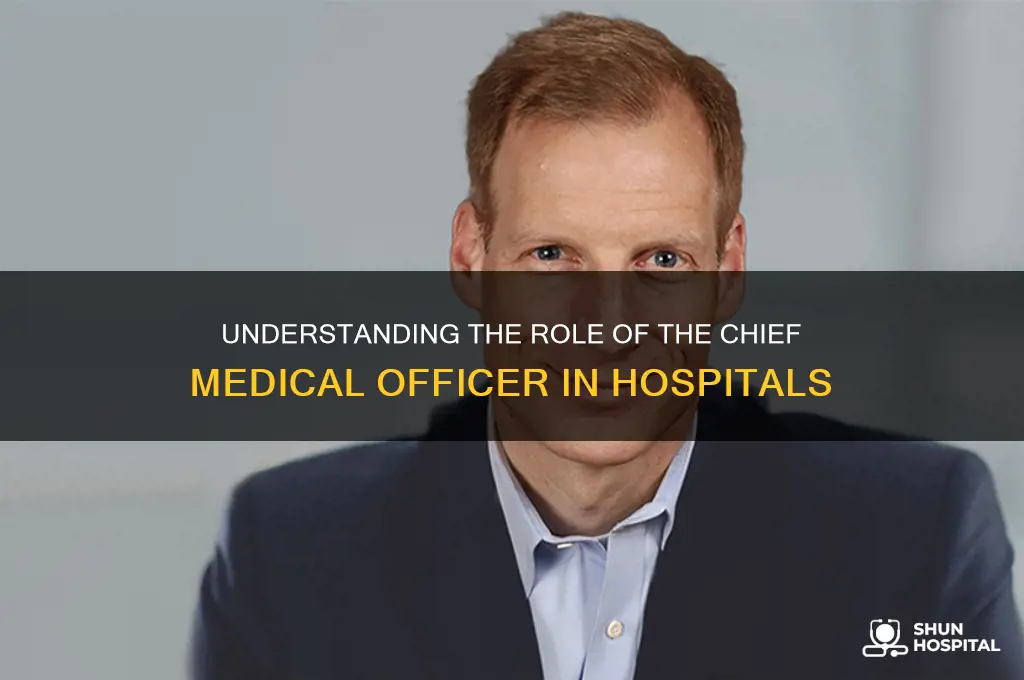 who is head doctor in a hospital