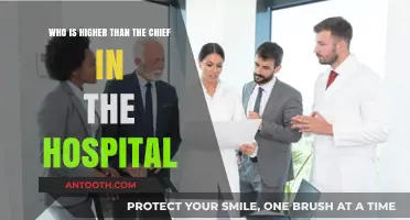 Hospital Hierarchy: Who Outranks the Chief in Healthcare Leadership?