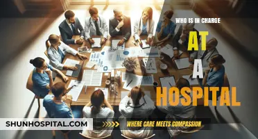 Understanding Hospital Leadership: Who Holds the Reins in Healthcare Management?