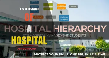 Leadership in Healthcare: Who's in Charge at a Hospital?