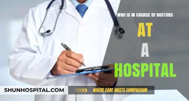 Understanding Hospital Hierarchy: Who Oversees Doctors in Healthcare Facilities?