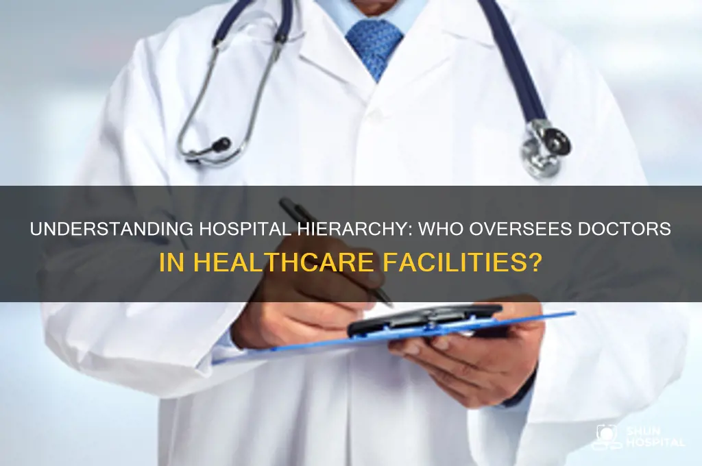 who is in charge of doctors at a hospital